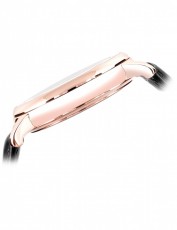 Vacheron Constantin 5152251 MÉtiers Dart MÉcaniques GravÉes Бельгия (Фото 3)